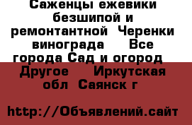 Саженцы ежевики безшипой и ремонтантной. Черенки винограда . - Все города Сад и огород » Другое   . Иркутская обл.,Саянск г.